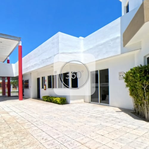 pasillo-alianz-pinos-360